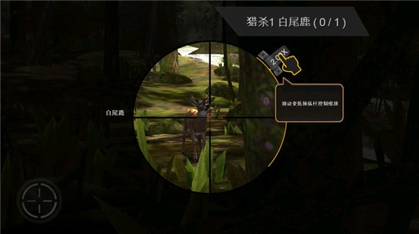 变焦调节