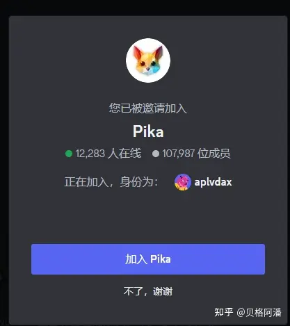 加入pika beta步骤