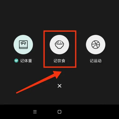 饮食记录入口