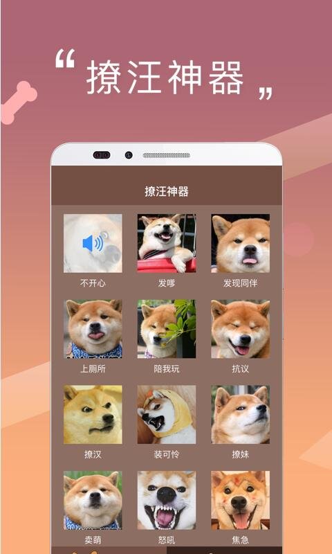 宠物情绪识别示意图