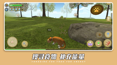 猫咪组队狩猎实机画面
