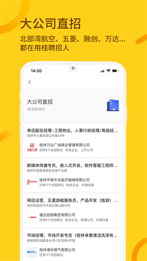 桂聘特色图示