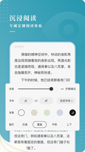 每日小说夜间模式