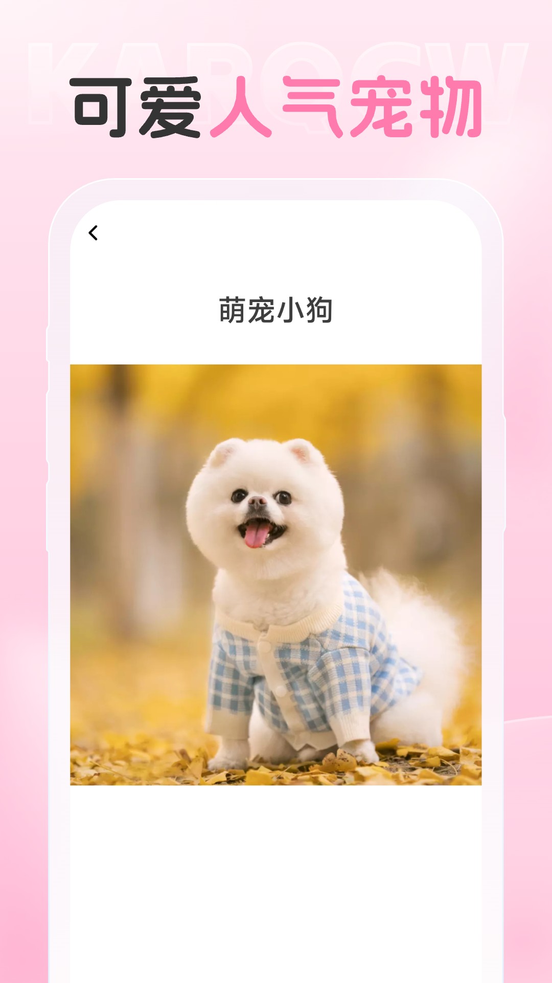 电影滤镜效果展示