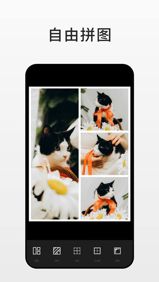 fotor照片编辑器