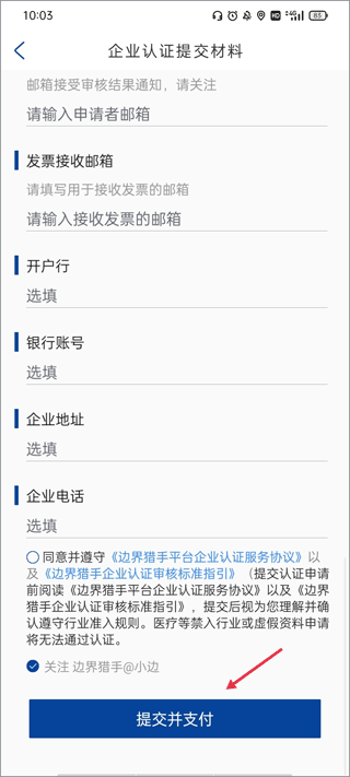 支付界面示意图