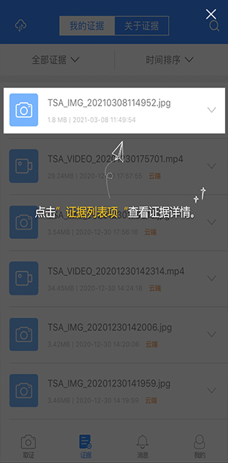 证据详情页