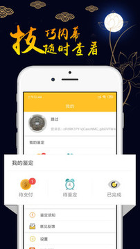 专业鉴定