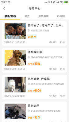 萌宠医疗咨询界面