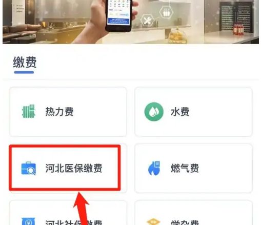 冀时办医保选项