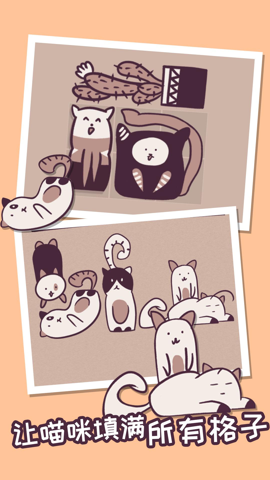 小猫互动界面