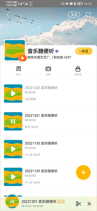 音频选择