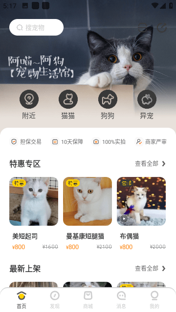 买只宠物