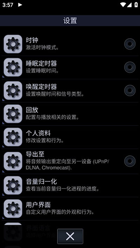中子播放器格式支持