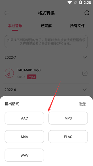 输出格式选择