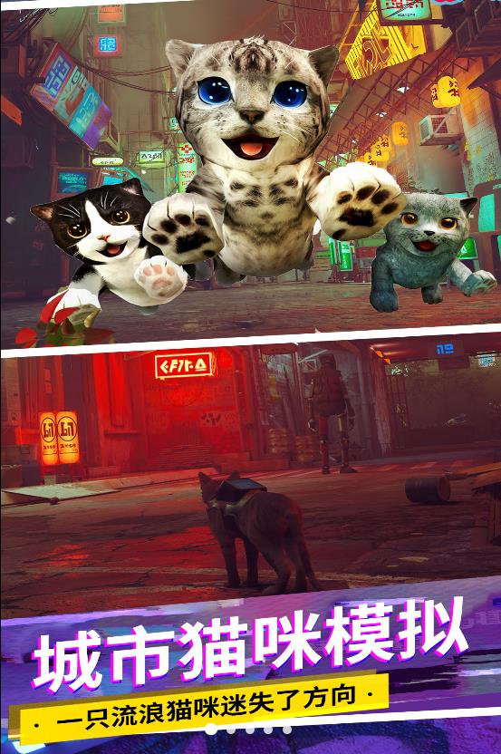 猫咪解谜过程