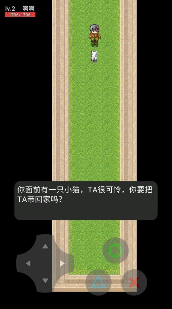 猫咪在昏暗走廊行走