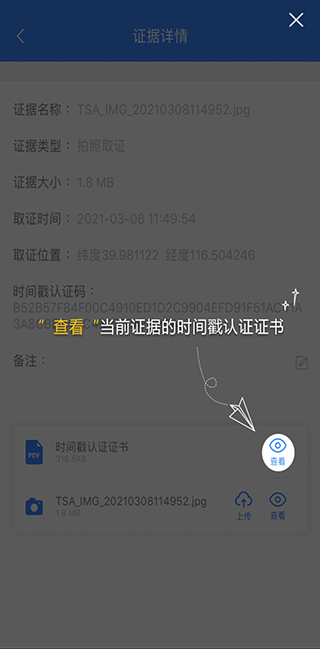 时间戳证书展示