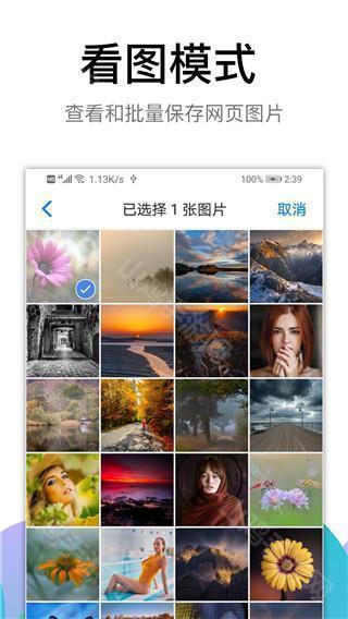 黑狮浏览器新闻聚合
