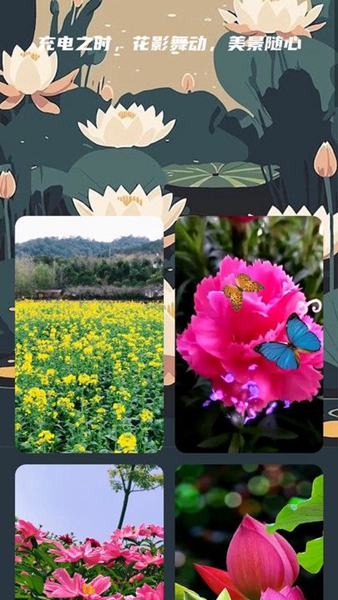 花影充电操作界面