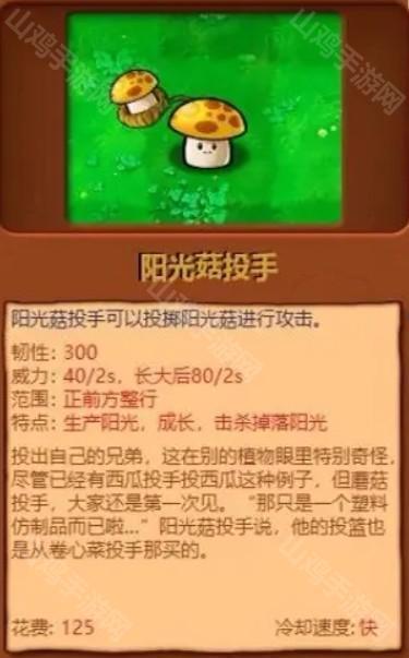 阳光菇投手