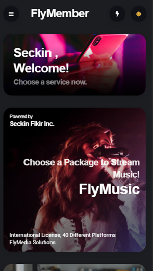 Fly Music均衡器界面
