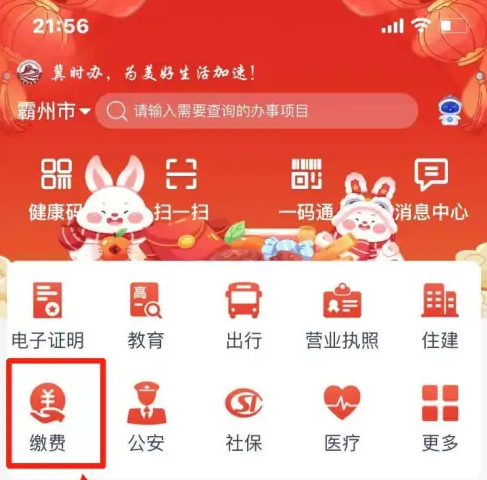 医保缴费入口