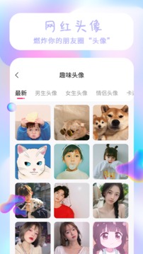 壁纸搜索功能展示