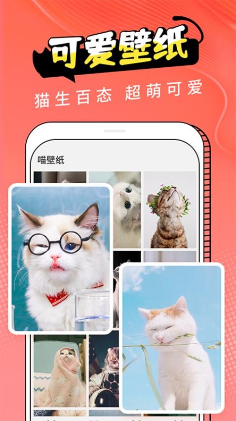 特色功能
