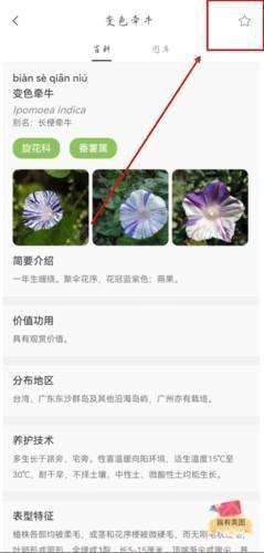 收藏功能