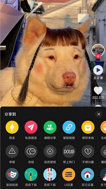 操作界面示意
