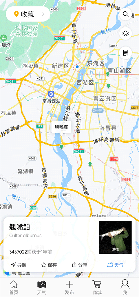 潮汐预报