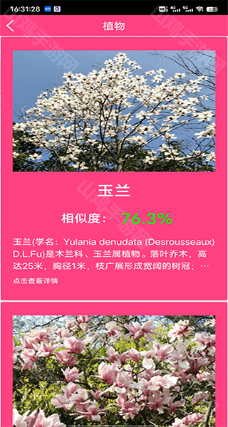 识别结果界面