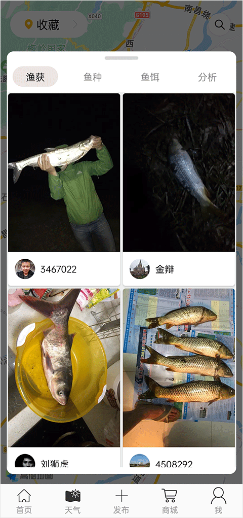 钓点分享