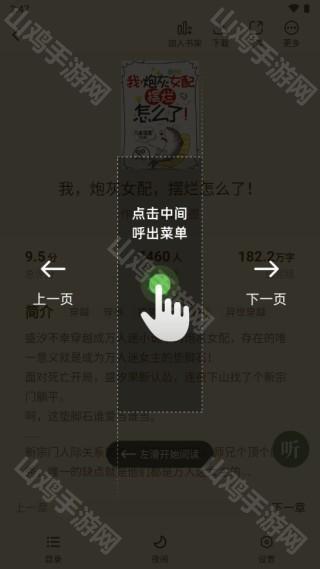 小说阅读界面