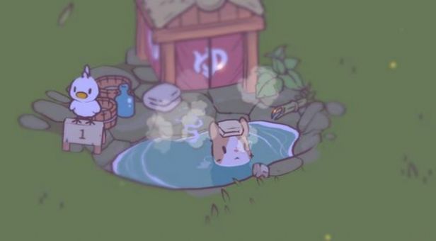 猫咪夜间活动