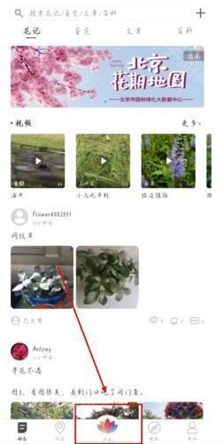 识花功能入口
