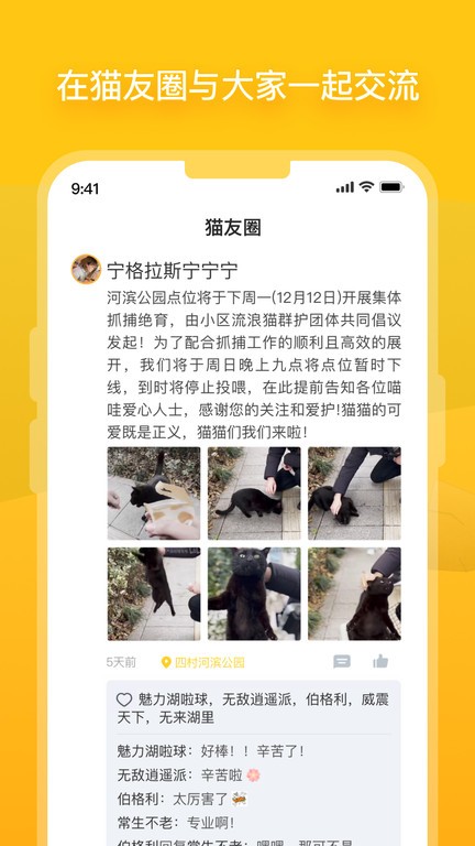 猫咪实时吃播画面