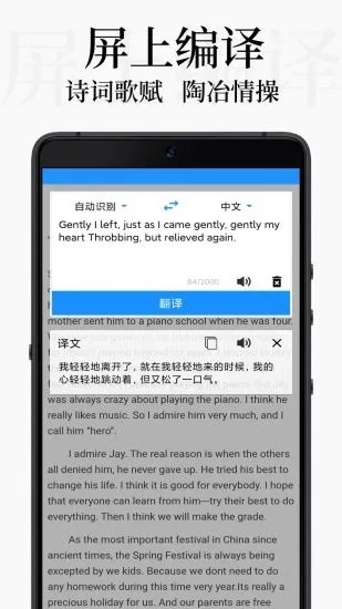 界面主题