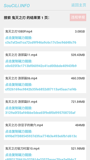 搜磁力资源筛选