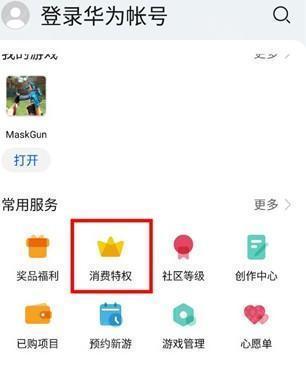 消费特权入口