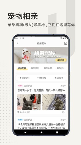活动界面