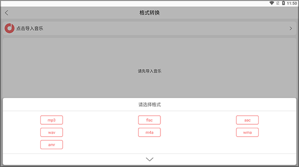 格式选择界面
