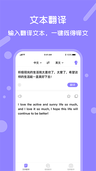多语言支持界面