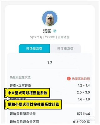 喂食计算界面