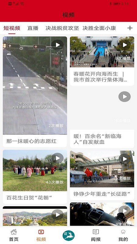 掌心临海台风预警功能