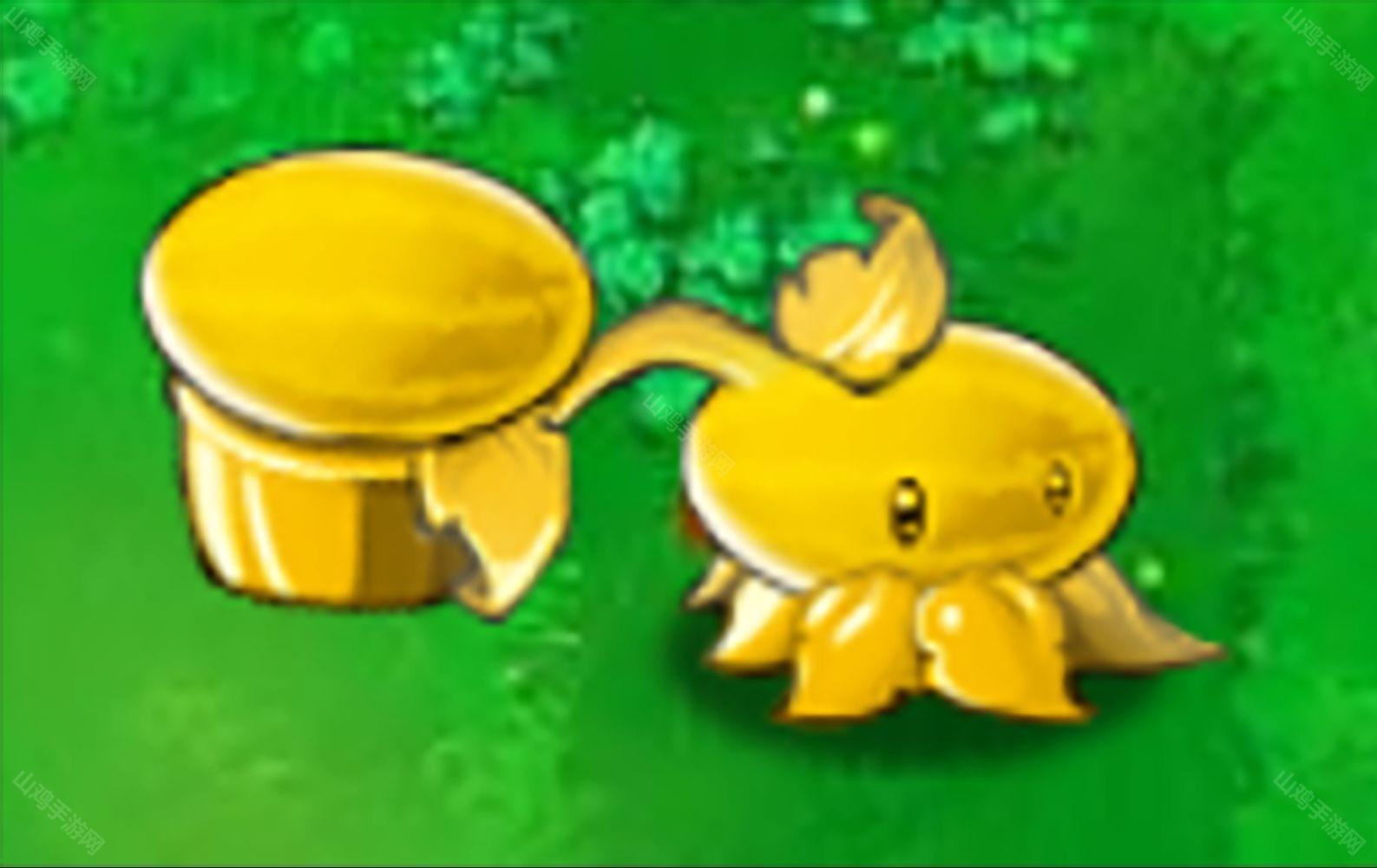 金瓜投手