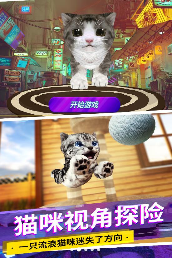 猫咪视角城市