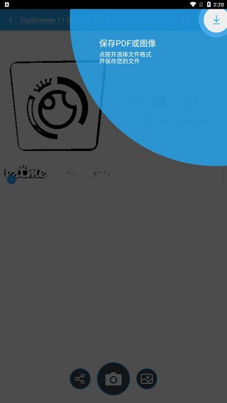 导出选项