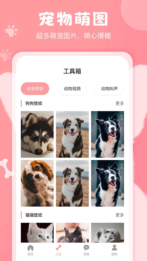 狗语翻译器情感分析